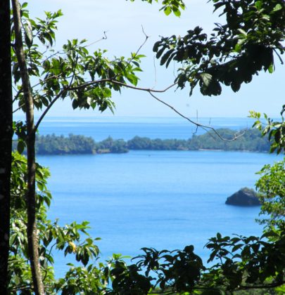 Visiting Bastimentos in Bocas Del Toro